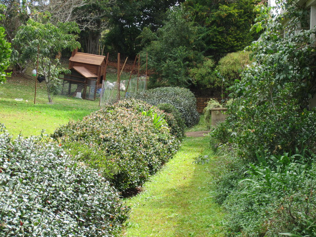 Eden Lodge Nambour Kültér fotó